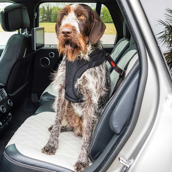 KONG Travel Ultimate Safety Tether – Three-Point Adjustable Car Belt with ISOFIX Compatibility