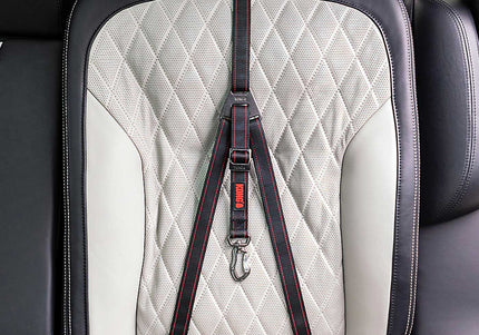 KONG Travel Ultimate Safety Tether – Three-Point Adjustable Car Belt with ISOFIX Compatibility