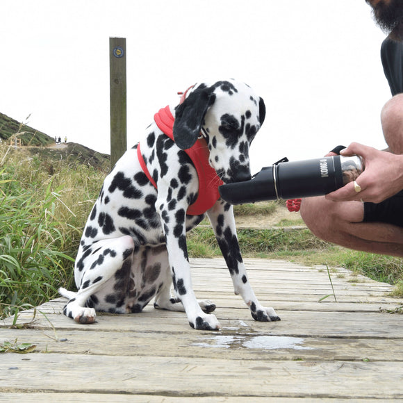 KONG Trek & Treat Bottle 295ml – Portable Water Bottle with Built-In Treat Compartment