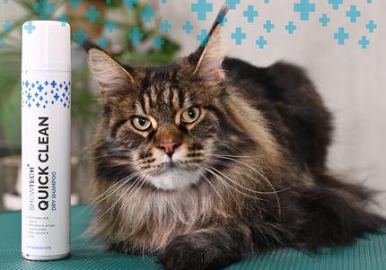 Show Tech+ Dry Shampoo Spray 200ml – Texturizing Formula, Fast-Acting and Residue-Free