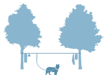 Kurgo Ridgeline Tie-Out 9m – Flexible Dog Zipline, Durable Camping Rope, Tree-to-Tree Setup