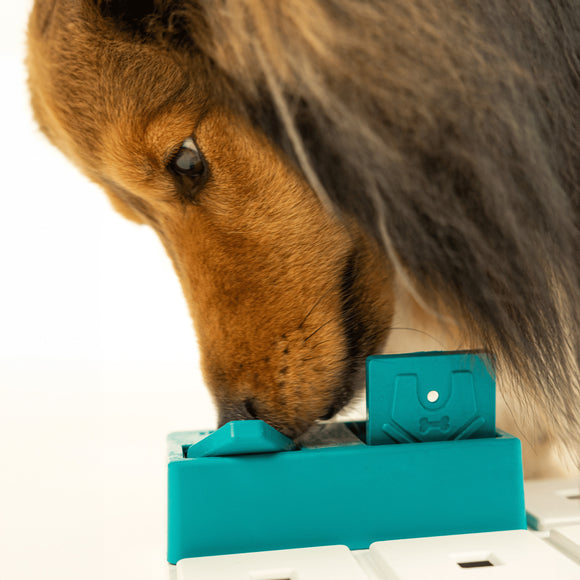 Pawzler Nai Dog Puzzle Module – Level 2 Interactive Bonus Block, Durable Design