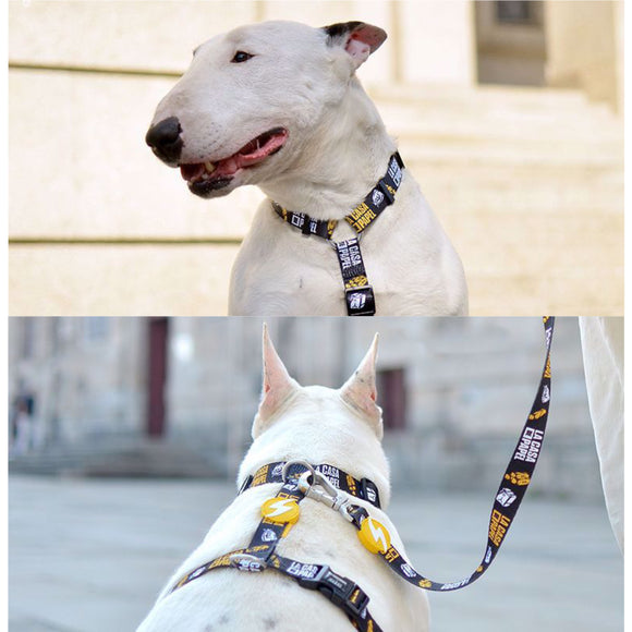 Dashi La Casa De Papel Golden Back Harness – Adjustable Money Heist Theme, Black, Large Size