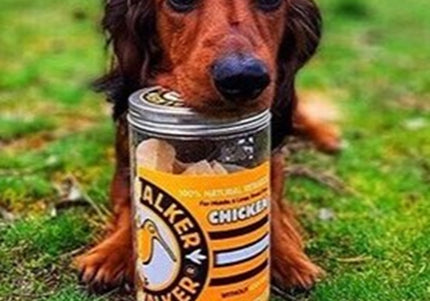 Kiwi Walker Chicken Snacks 120g – 100% Freeze-Dried Natural Treats, Single Protein Recipe