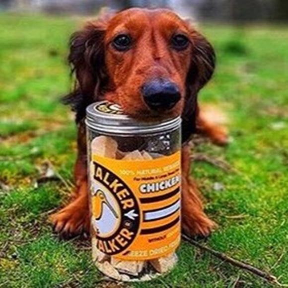 Kiwi Walker Chicken Snacks 120g – 100% Freeze-Dried Natural Treats, Single Protein Recipe