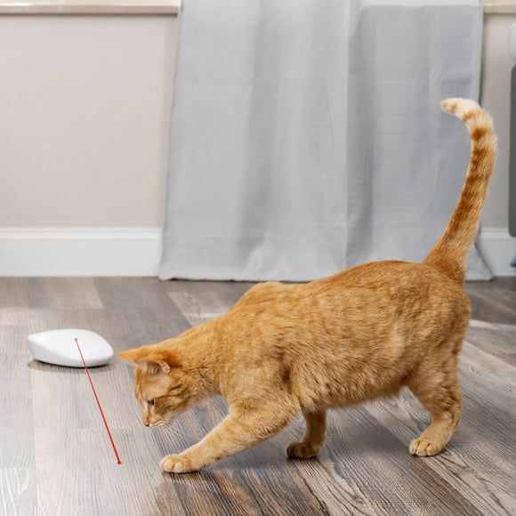 PetSafe Laser Tail Automatic Laser Light – Interactive Moving Toy with Rotating Laser Feature