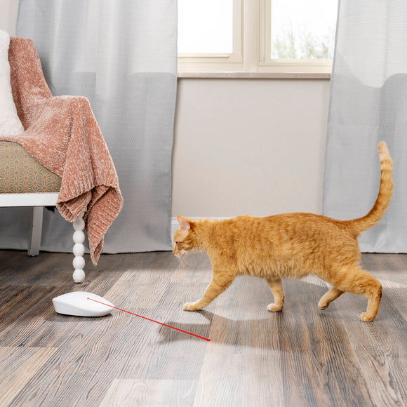 PetSafe Laser Tail Automatic Laser Light – Interactive Moving Toy with Rotating Laser Feature