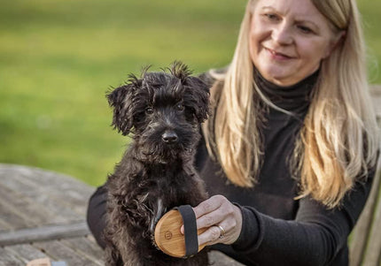 Mikki Bamboo Puppy & Kitten Grooming Kit – Eco-Friendly Brush and Comb Set, Gentle Care