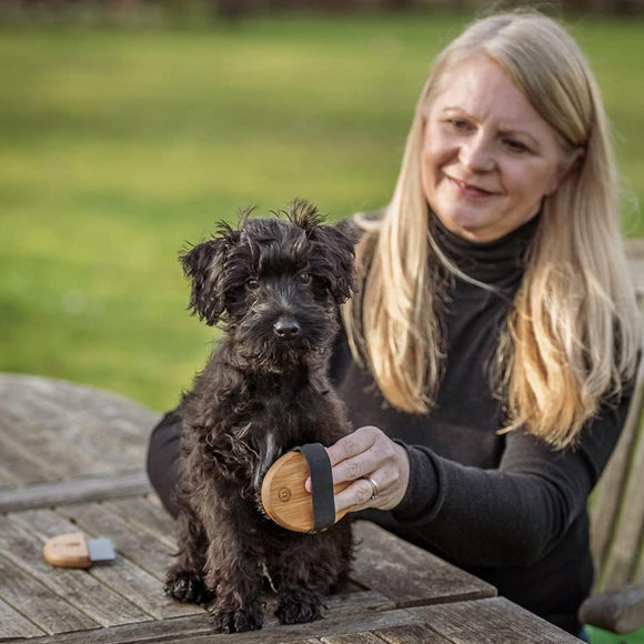 Mikki Bamboo Puppy & Kitten Grooming Kit – Eco-Friendly Brush and Comb Set, Gentle Care