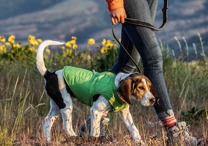 Kurgo Springback Leash 122cm – Shock-Absorbing Running Lead with Flexible Bungee Design