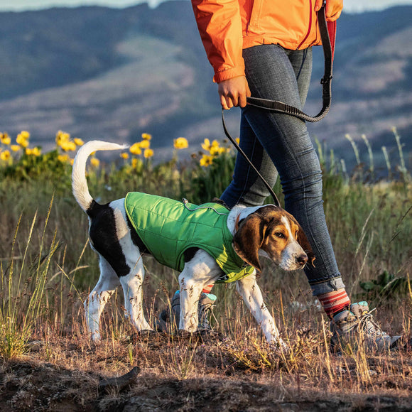 Kurgo Springback Leash 122cm – Shock-Absorbing Running Lead with Flexible Bungee Design