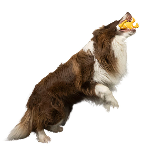 Kiwi Walker Character Nurse Squeaky Dog Toy – Soft Durable Plush with Fun Sound