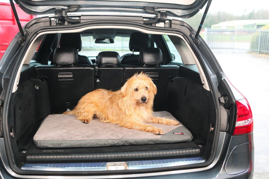 KONG Travel Fold-Up Mat Foldable Dog Bed 90 x 60 x 5 cm
