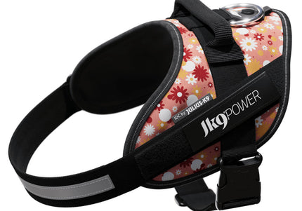 Julius-K9 IDC Powerharness Pink Flowers – Top Quality Floral Pattern Harness, Size 2