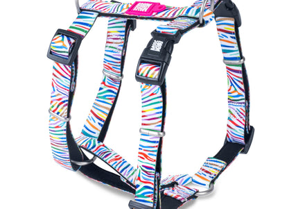Max&Molly Magic Zebra H-Harness – Colorful Adjustable Design, Medium Size