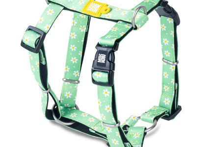 Max&Molly Margarite H-Harness – Colorful Adjustable Large Harness, Comfortable Design