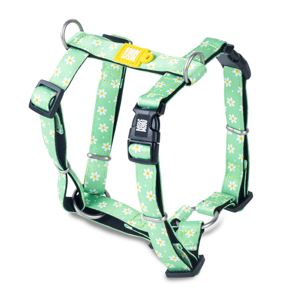 Max&Molly Margarite H-Harness – Colorful Adjustable Large Harness, Comfortable Design