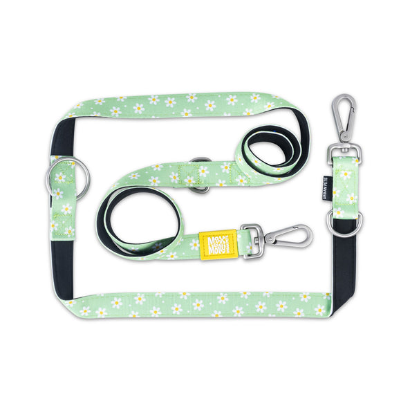 Max&Molly Multi-Leash Margarite – Adjustable 200cm Dog Leash, XS, Floral Pattern