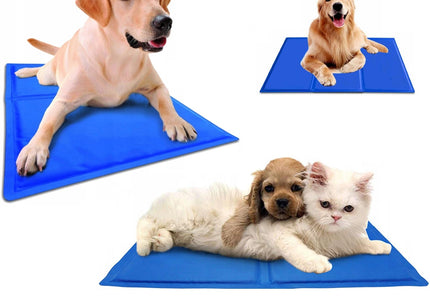 Doogy Cooling Mat 40x50cm – Blue Gel Comfort Pad, Fast-Acting Temperature Relief