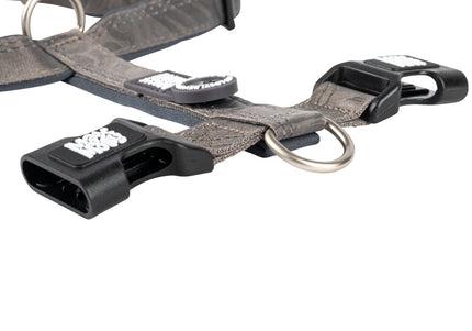 Max&Molly Matrix 2.0 Comfort Harness – Soft Adjustable Gray Dog Harness with QR ID, Small