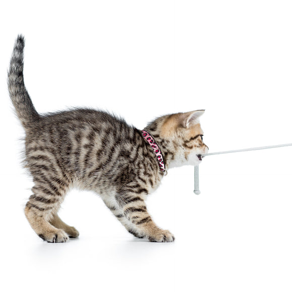 Max&Molly GOTCHA! Smart ID Cat Collar Leopard Pink – Colorful Adjustable Collar with Smart Tag