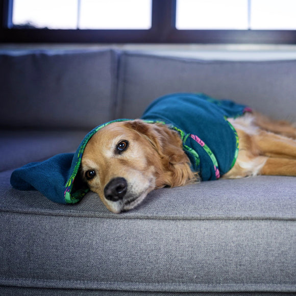 Max&Molly Tropical Pattern Dog Bathrobe – Soft, Absorbent Microfiber, Size Small