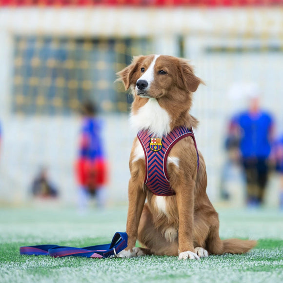 Max&Molly FC Barcelona Air Vest Dog Harness – Pressure-Free, Lightweight, Football Club Motif, Size M