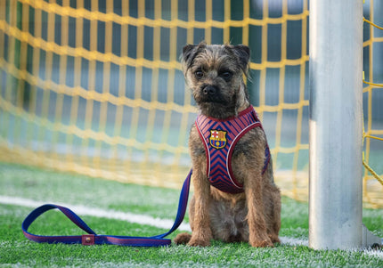 Max&Molly FC Barcelona Air Vest Dog Harness – Pressure-Free, Lightweight, Football Club Motif, Size M
