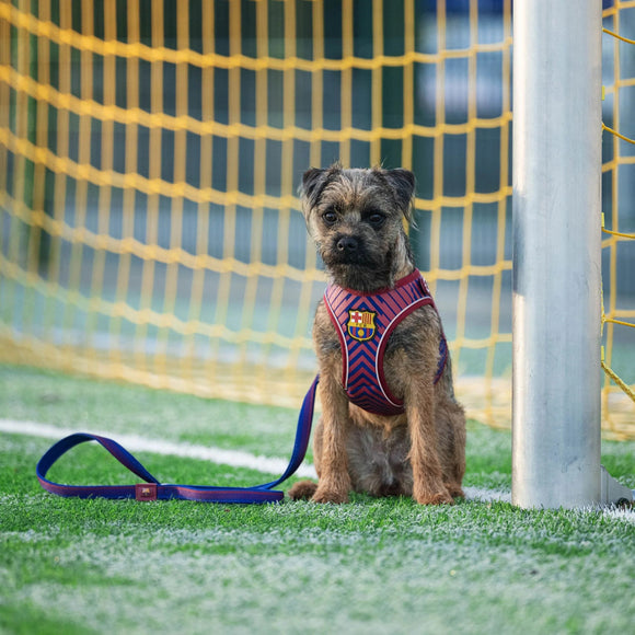 Max&Molly FC Barcelona Air Vest Dog Harness – Pressure-Free, Lightweight, Football Club Motif, Size M