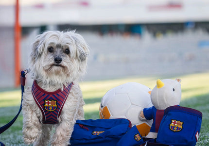 Max&Molly FC Barcelona Rhino Plush Toy – Soft Football Mascot with Squeaker, Vibrant Jersey Design