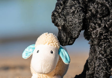 Max&Molly Huggles Sheep Barbara Very Soft Squeaker-Free Plush Dog Toy