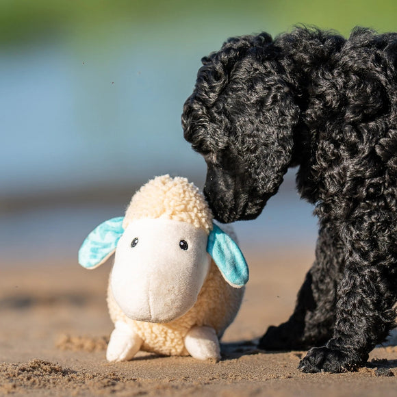 Max&Molly Huggles Sheep Barbara Very Soft Squeaker-Free Plush Dog Toy