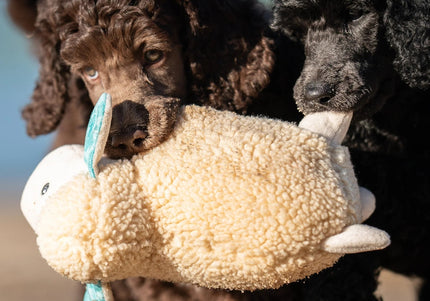 Max&Molly Huggles Sheep Barbara Very Soft Squeaker-Free Plush Dog Toy