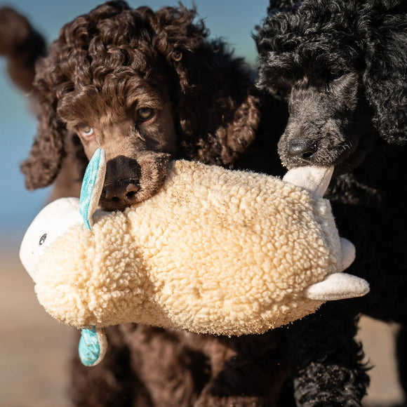 Max&Molly Huggles Sheep Barbara Very Soft Squeaker-Free Plush Dog Toy