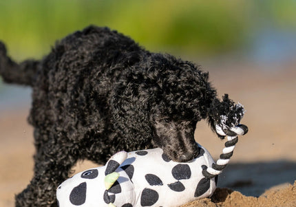 Max&Molly Huggles Claire Cow Plush Squeaky Dog Toy