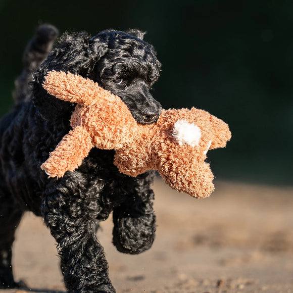 Max&Molly Huggles Lotta Furry Rabbit Squeaker-Free Dog Toy