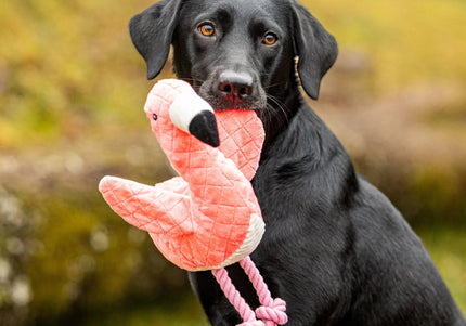Max&Molly Huggles Sunny Flamingo Plush Dog Toy with Crinkly Wings