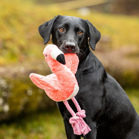Max&Molly Huggles Sunny Flamingo Plush Dog Toy with Crinkly Wings