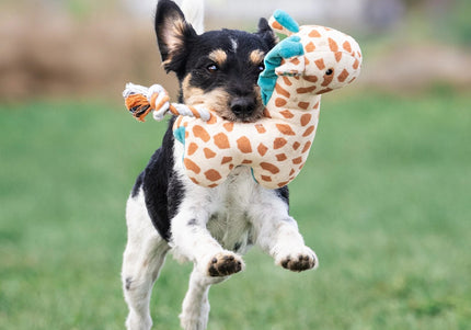 Max&Molly Huggles Giraffe Jerry Squeaker-Free Plush Dog Toy