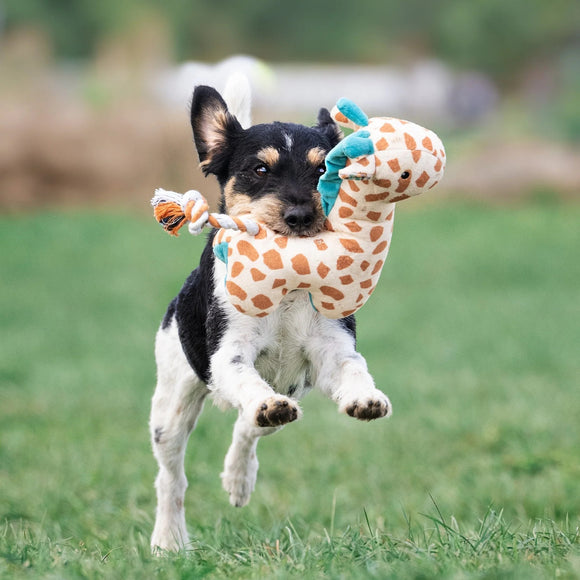 Max&Molly Huggles Giraffe Jerry Squeaker-Free Plush Dog Toy