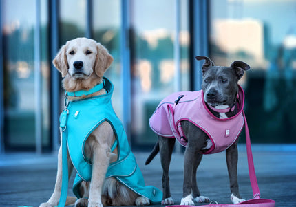 Max&Molly Matrix 2.0 Sand Dog Raincoat – Waterproof Jacket, XL, Lightweight Design