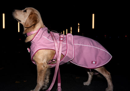 Max&Molly Matrix 2.0 Rose Dog Raincoat – Waterproof Pink Jacket, Medium Size