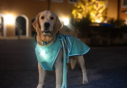 Max&Molly Matrix 2.0 Turquoise Dog Raincoat – Lightweight Waterproof Jacket, Small Size