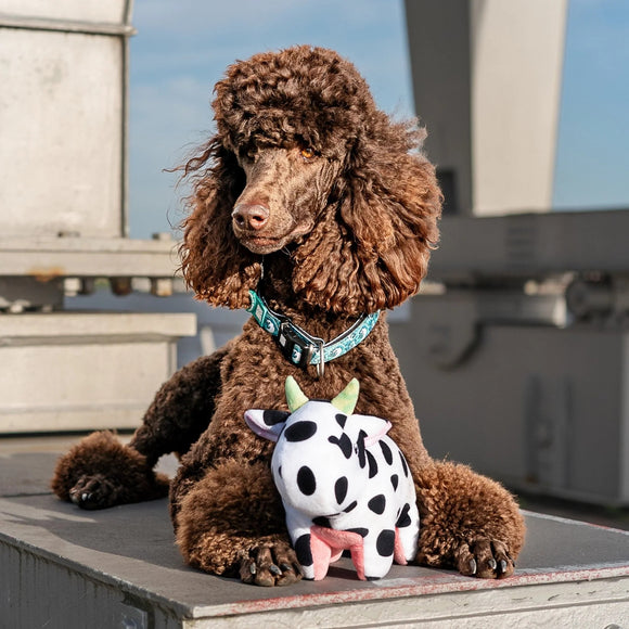 Max&Molly Huggles Claire Cow Plush Squeaky Dog Toy