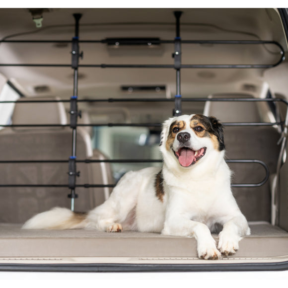 PetSafe Happy Ride Metal Dog Barrier – Adjustable Car Grille, Durable Steel Construction