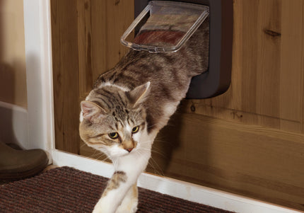 PetSafe Microchip Cat Flap – Automatic and Manual Entry, Secure White Door