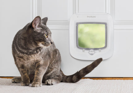 PetSafe Microchip Cat Flap – Automatic and Manual Entry, Secure White Door