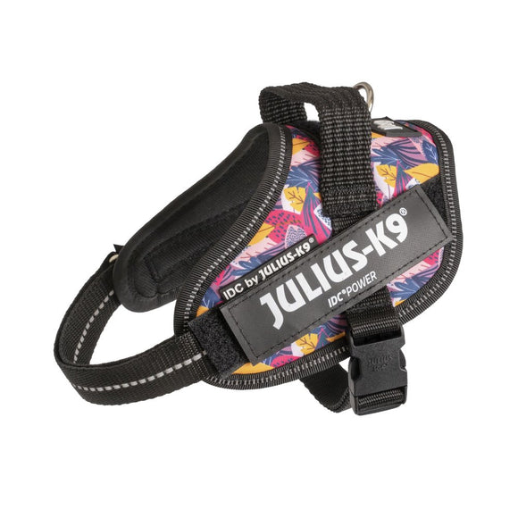 Julius-K9 IDC Powerharness Leaf2 – Premium Patterned Harness, Durable and Comfortable Design