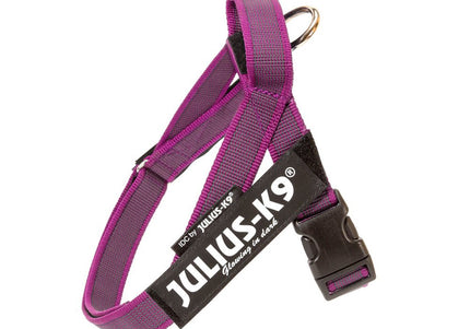 Julius-K9 IDC Color&Gray Belt Harness Pink – Fuchsia Mini-Mini, Adjustable and Durable Design
