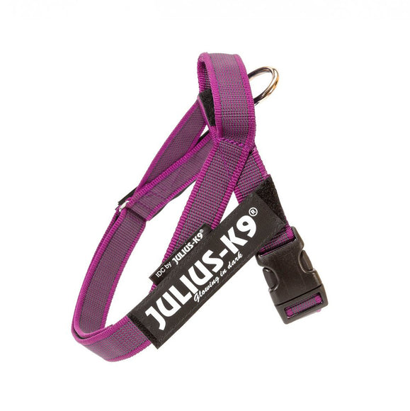 Julius-K9 IDC Color&Gray Belt Harness Pink – Fuchsia Mini-Mini, Adjustable and Durable Design